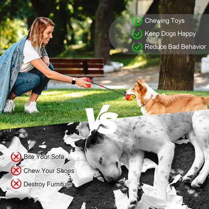 Dog Toy Teeth Grinding and Feeding Device Suction Cup Ball Interactive Chewing Toys Teeth Cleaning Pet Products