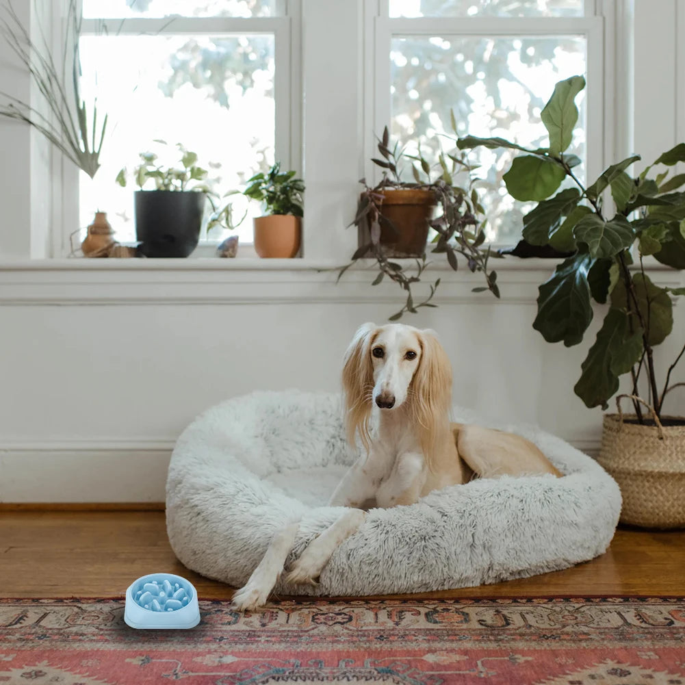 Pet Slow Eating Dish Bowl Anti Choking Dog Slow Feeder Bowl Non-Slip Puzzle Dog Food Bowls for Small Dogs and Cats Fast Eaters