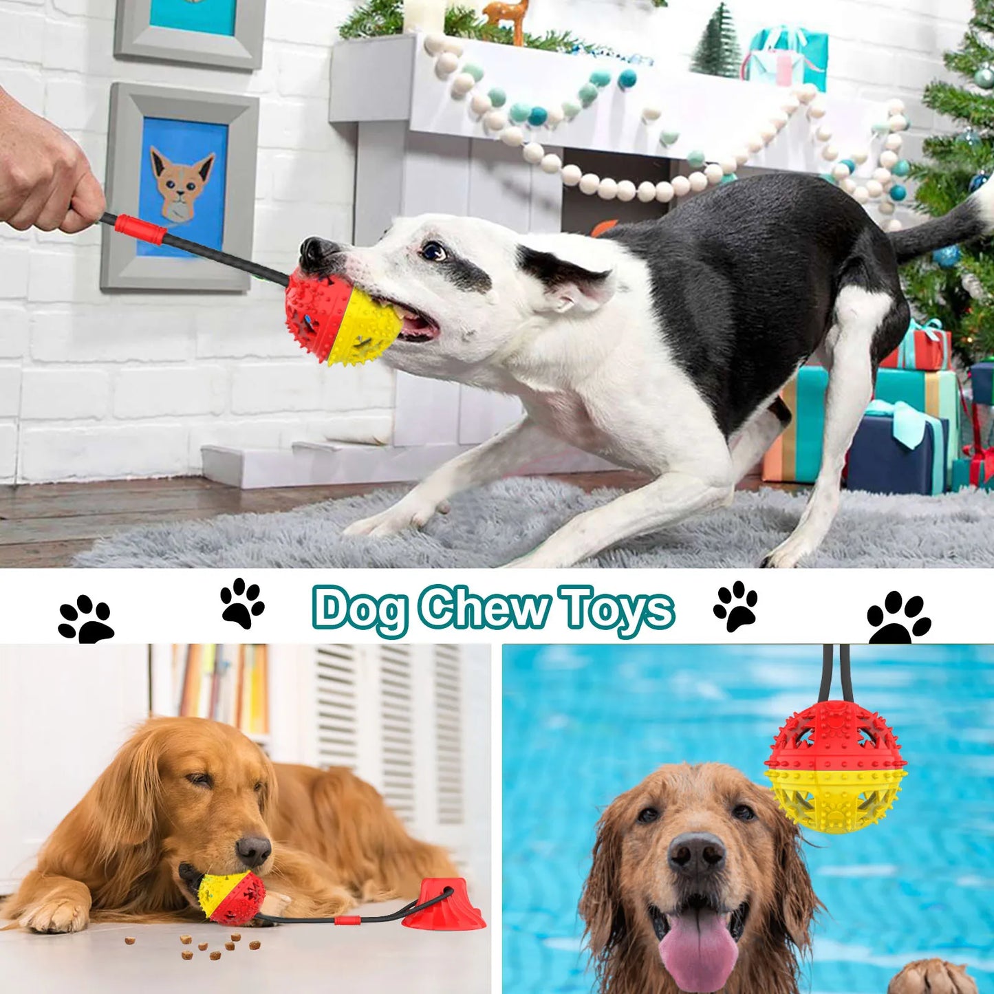 Dog Toy Teeth Grinding and Feeding Device Suction Cup Ball Interactive Chewing Toys Teeth Cleaning Pet Products