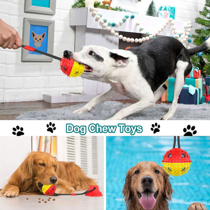 Dog Toy Teeth Grinding and Feeding Device Suction Cup Ball Interactive Chewing Toys Teeth Cleaning Pet Products
